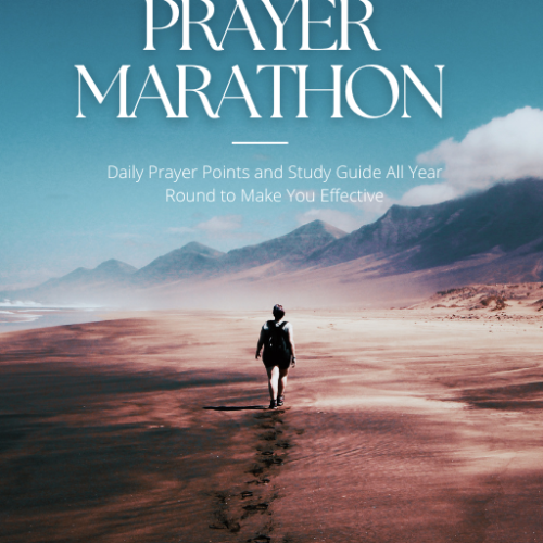 365 Days Prayer Marathon: Daily Prayer Points and Study Guide All Year Round to Make You Effective