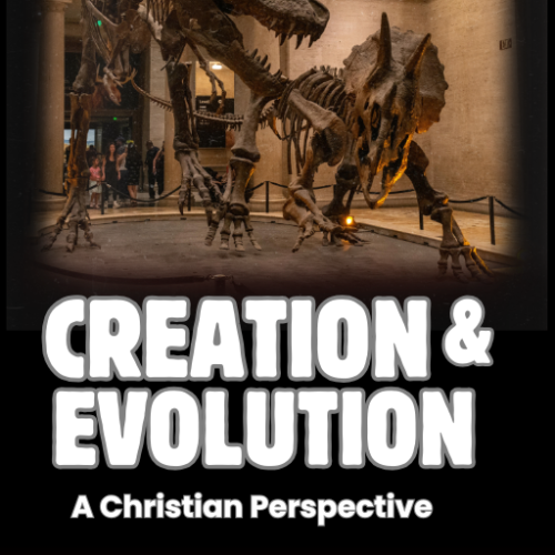 Creation and Evolution: A Christian Perspective