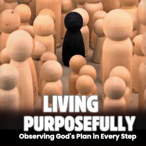 Living Purposefully: Observing God's Plan in Every Step
